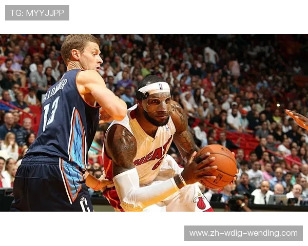 火箭队2005-2006赛季回顾及战绩分析