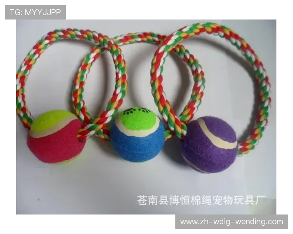 足球宠物玩具是否借赛事形象推出球迷宠物互动用品承载球队亲民文化