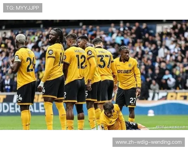 英超球队狼队是否拥有中国球员？阵容构成分析